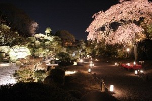 友禅苑ライトアップ サイズ変更済み