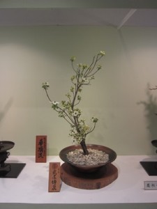 2014.04.18 華頂流華道展3