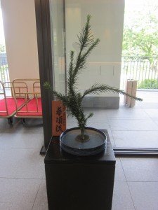 2014.09.07 華頂流