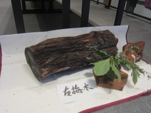 2014.09.15 梅染3