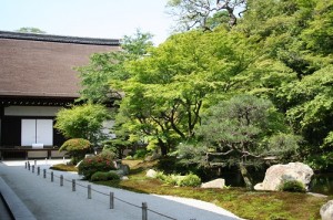 IMG_1800.jpg サイズ変更済み