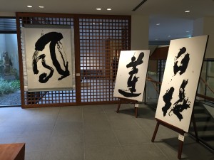 IMG_2401