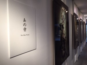 田上5